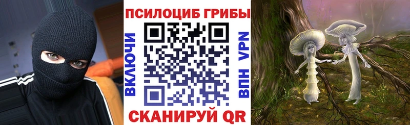 ссылка на мегу сайт  Реутов  Галлюциногенные грибы Magic Shrooms  купить закладку 